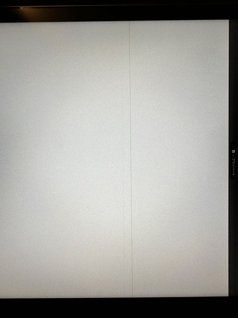 ジャンクiPad Pro 11 第一世代 wifi+cellular 64gb