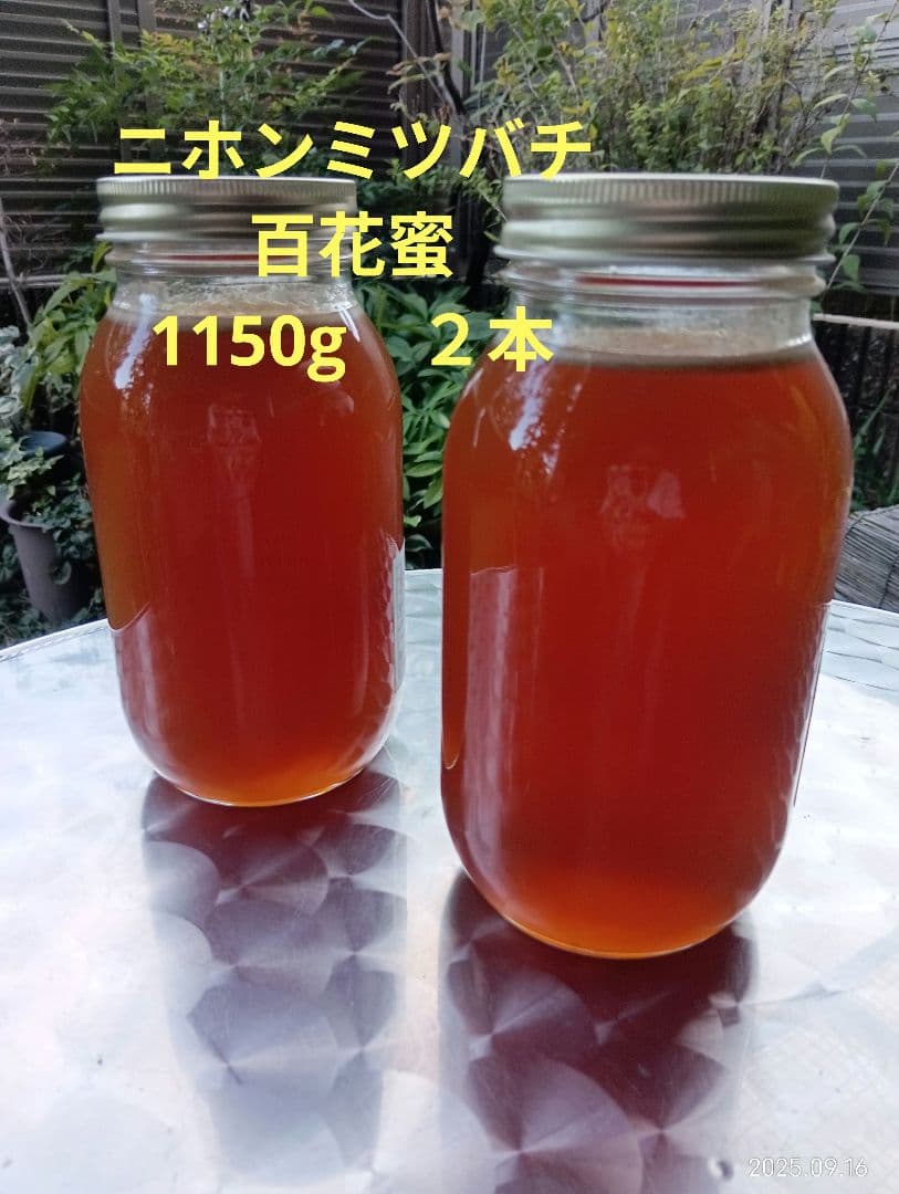 ニホンミツバチの百花蜜　天然 はちみつ 　1150グラム　2本セット