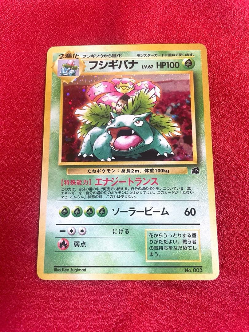 【美品-希少】イントロパック フシギバナ カメックス 計２枚 ポケモンカード旧裏