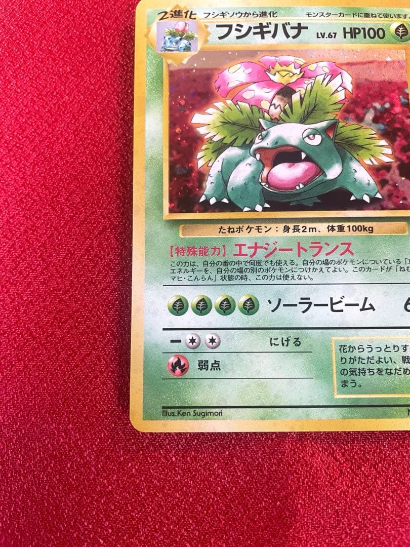 【美品-希少】イントロパック フシギバナ カメックス 計２枚 ポケモンカード旧裏