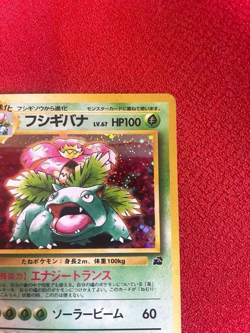 【美品-希少】イントロパック フシギバナ カメックス 計２枚 ポケモンカード旧裏
