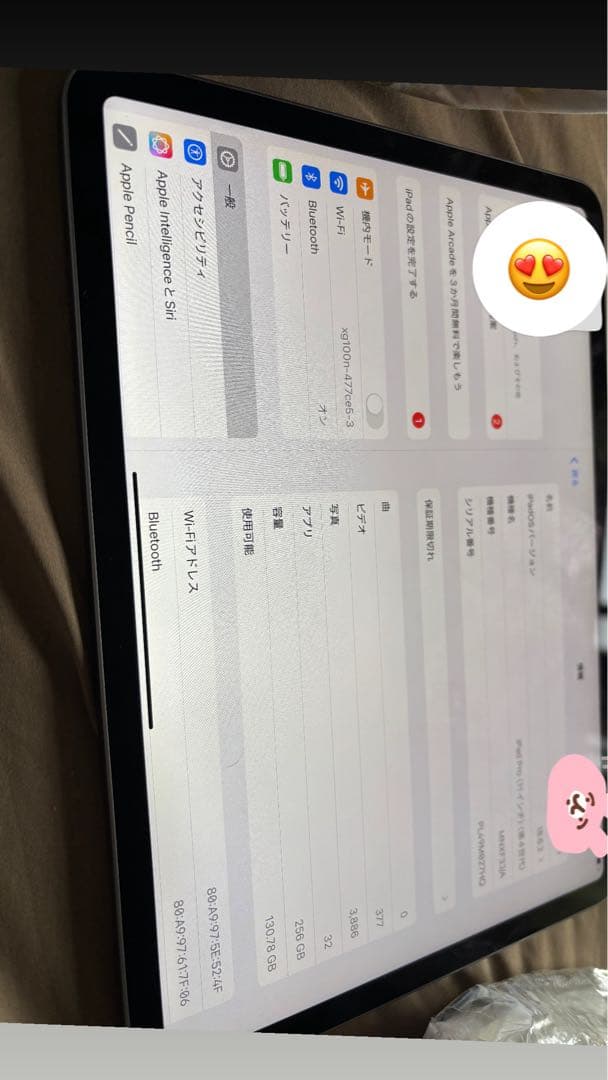 iPad Pro 11インチ スペースグレー　神崎