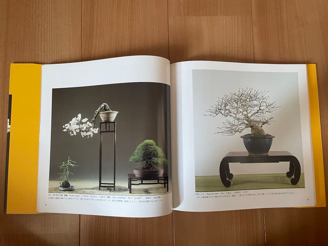 国風盆栽展 51-61 巻セット