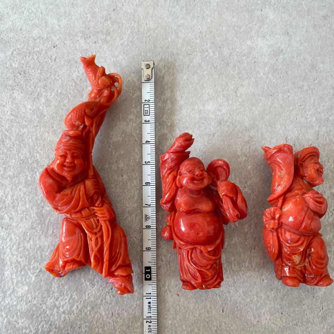 【サンゴを買収する様】ご確認用