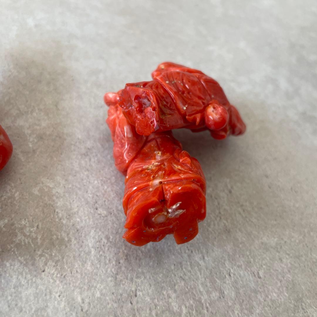 【サンゴを買収する様】ご確認用