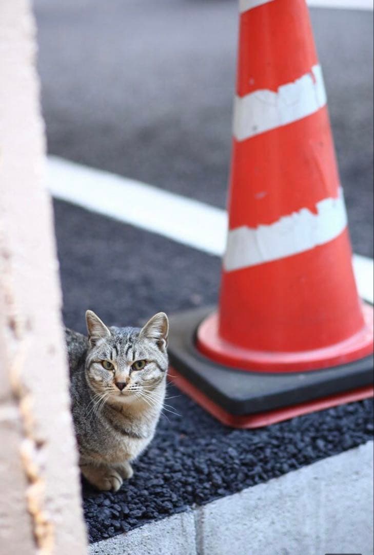 CANON EOSRシリーズ対応！ミラーレスカメラ用！サードパーティ製85mm