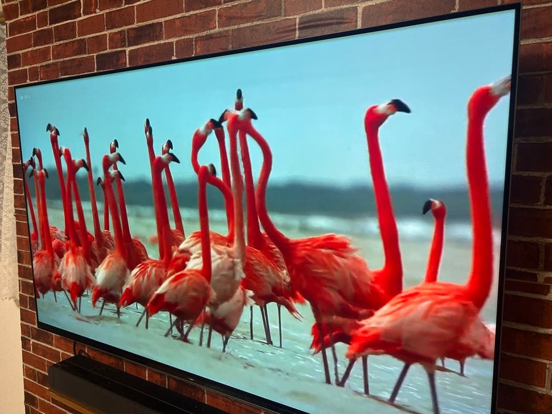 SONY KJ-55A8F 55インチ 有機ELテレビ