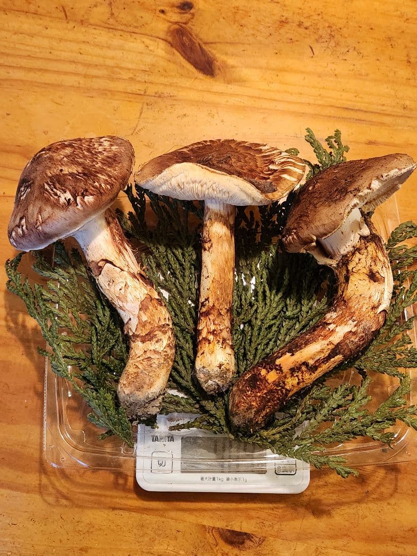 北海道産松茸　409g