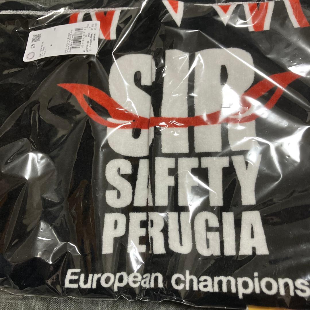 DESCENTE 石川祐希 コラボ Tシャツ／タオル セット