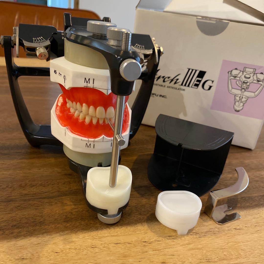 プロアーチⅢEG 半調節咬合器 蝋模型付き 歯科技工