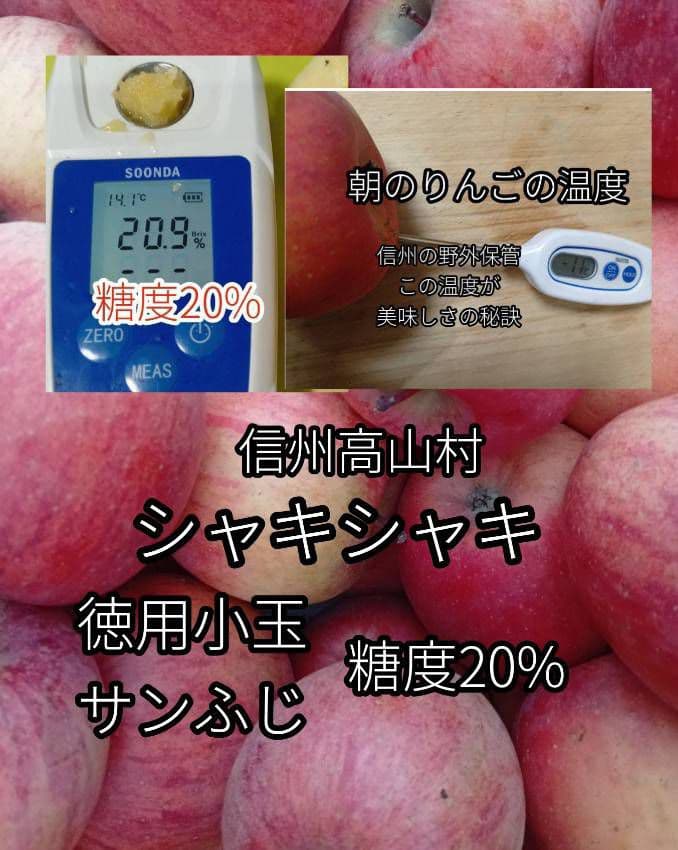 【糖度20度超】信州高山村の小玉フジ12キロシャキシャキ、ジューシーなりんご