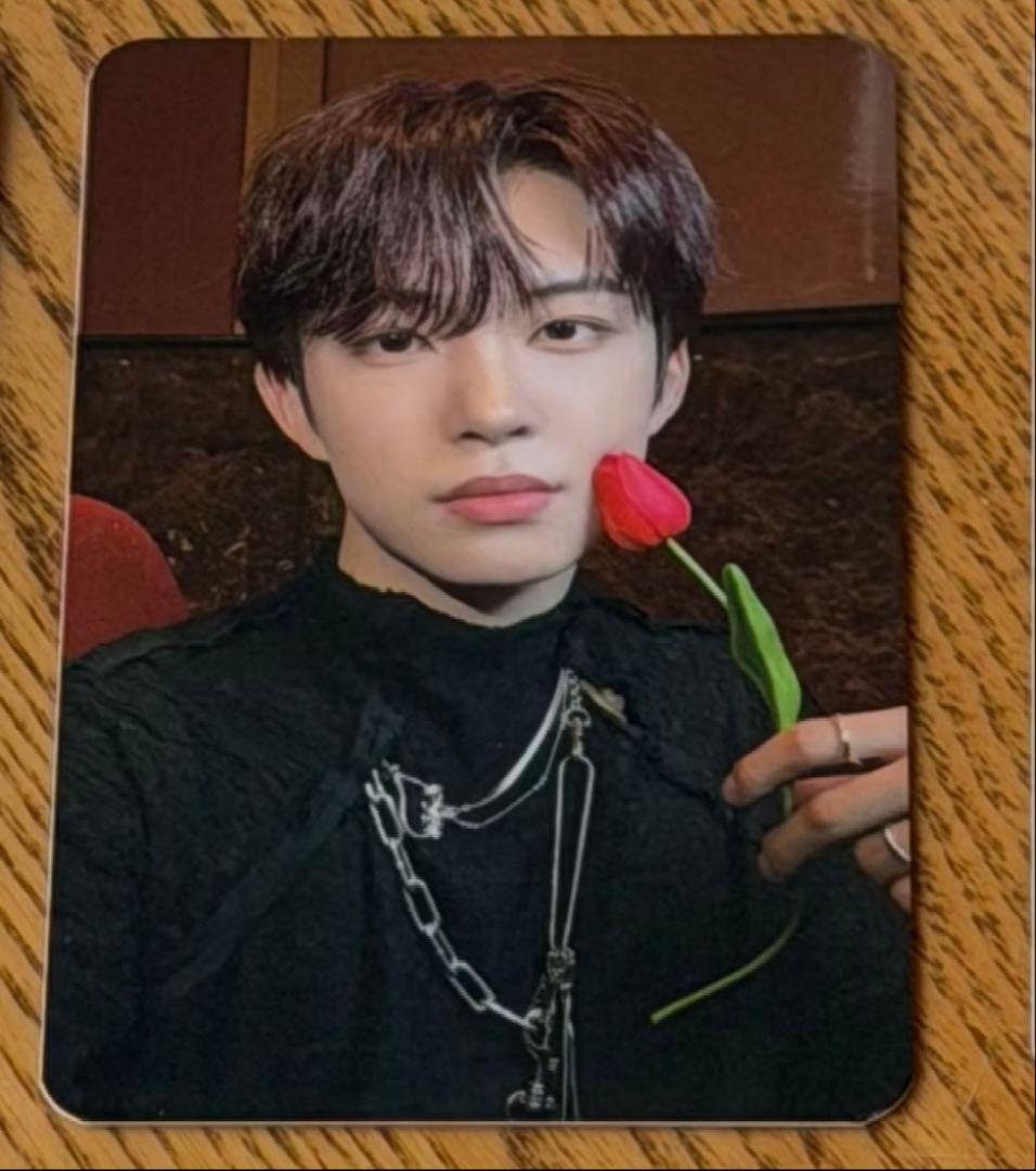 ALD1 ゴヌ EUPHORIA サノク 限定 トレカ E