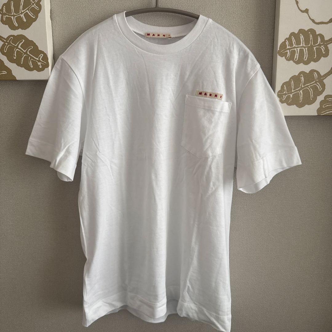 マルニ　半袖　Tシャツ　12サイズ　キッズ