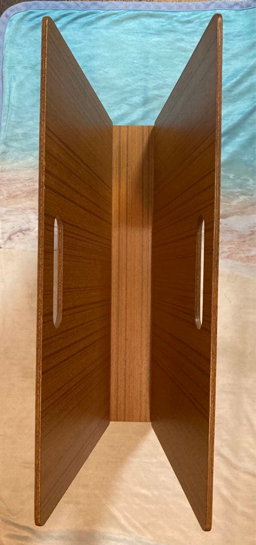 極美　SAITO WOOD サイトーウッド チーク プライウッド マガジンラック