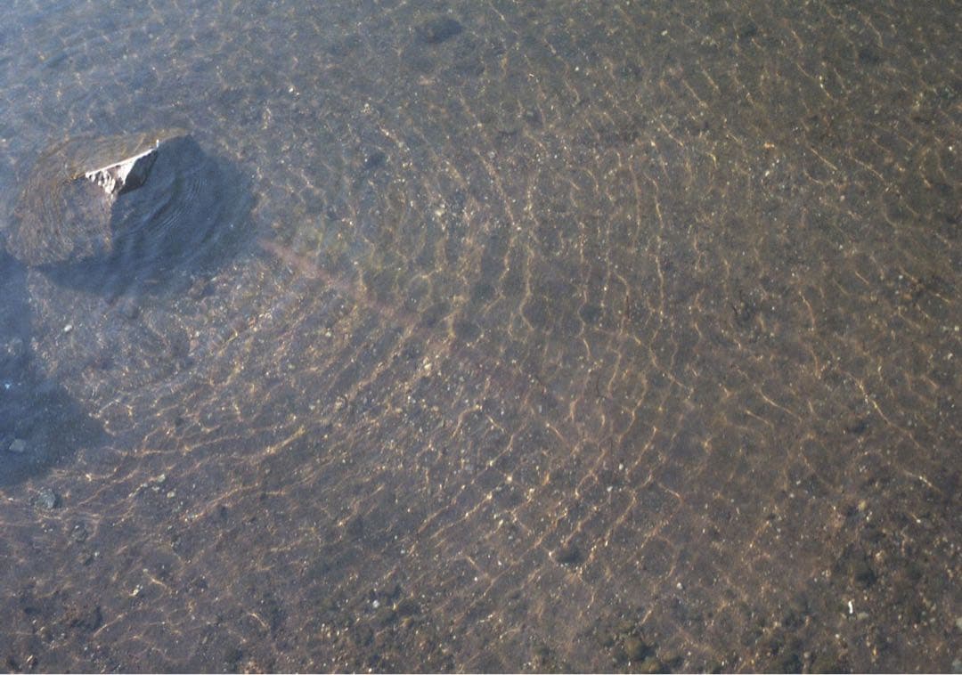 MINOX 35 GT 【作例あり】