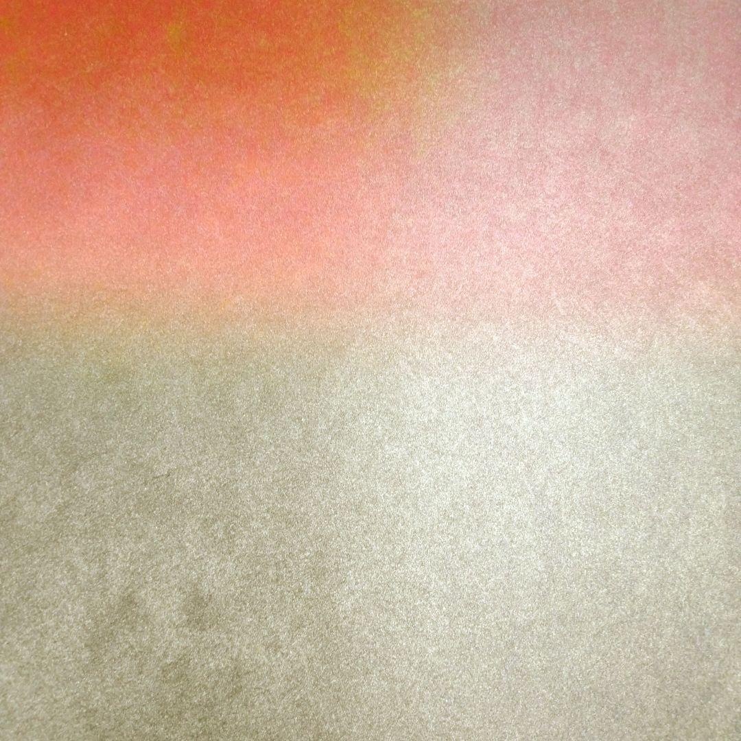 ☆ 百瀬 寿 特大シルクスクリーン