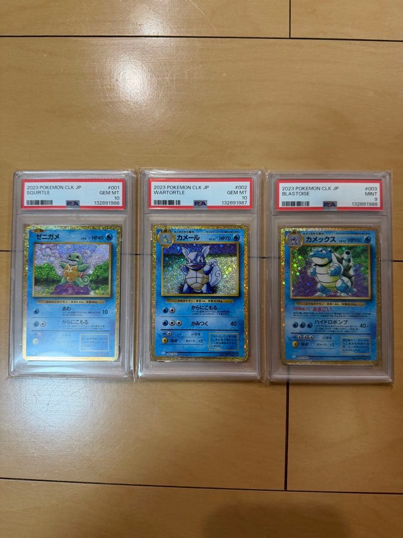 3連番　classic ゼニガメ　カメール カメックス　クラシック