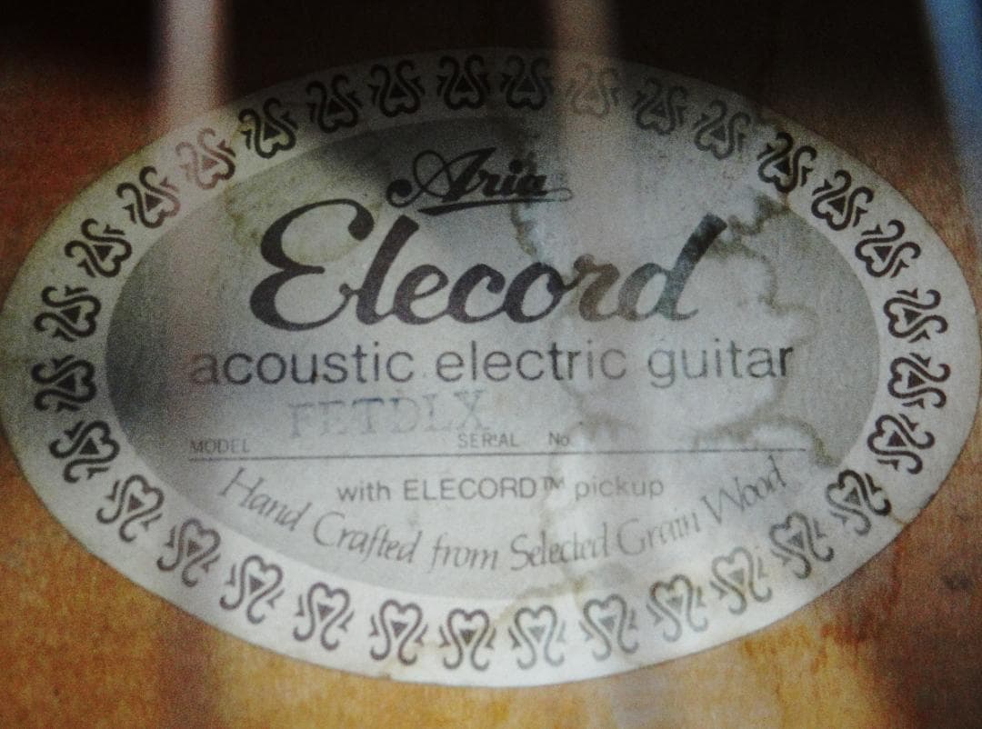 Aria Elecord FET-DLX エレアコ made in japan