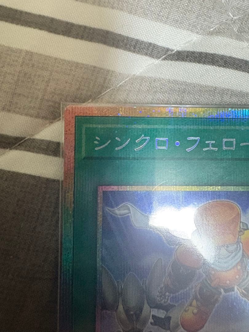 シンクロフェローズ　プリシク