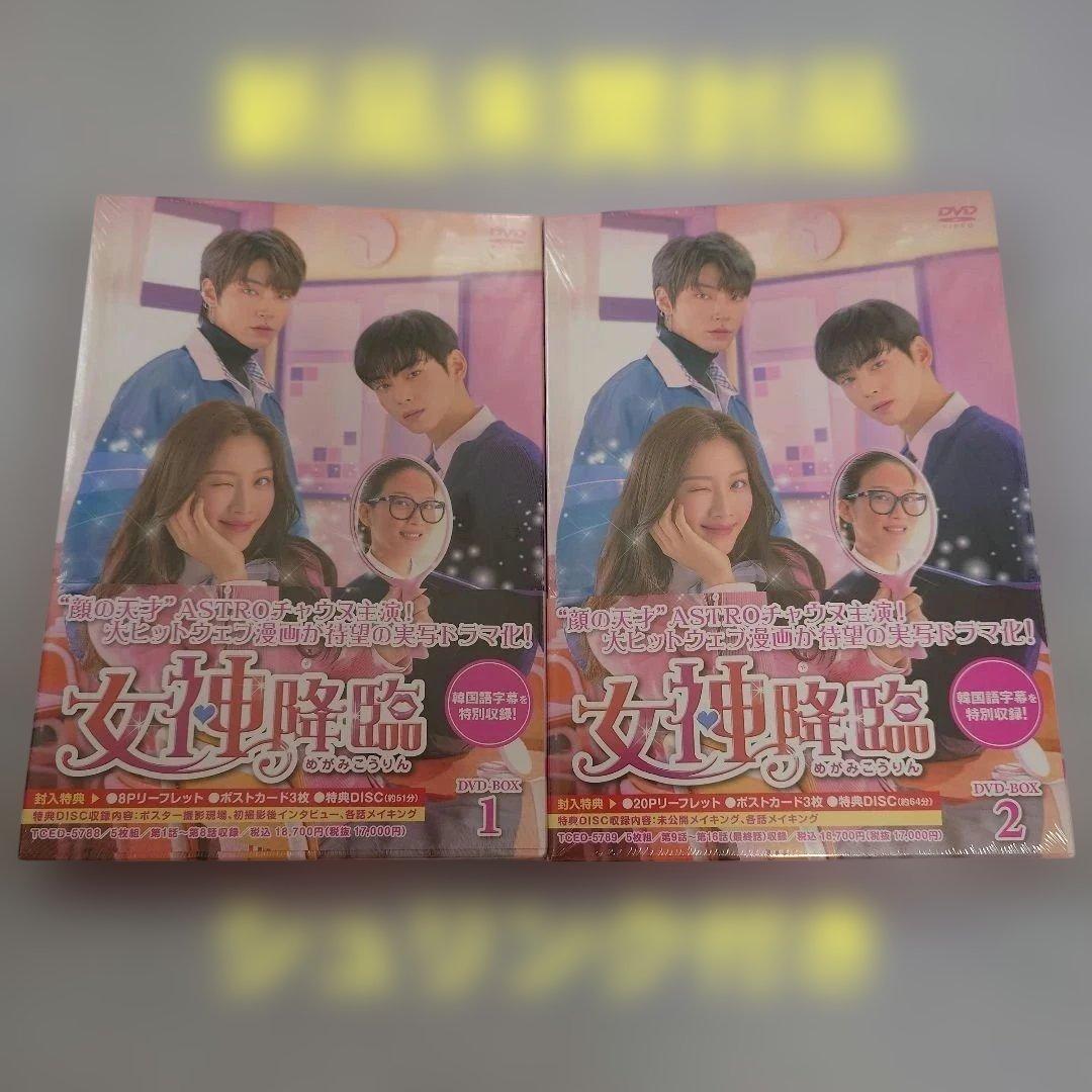女神降臨 DVD-BOX1.2 新品未開封