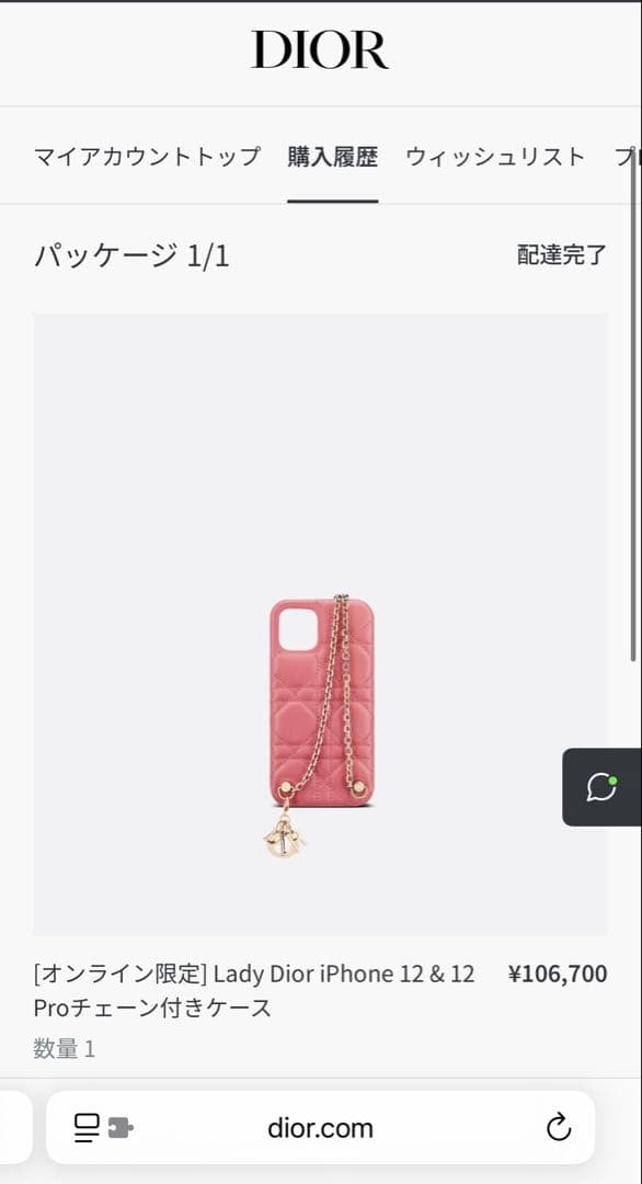 DIOR iPhone12pro 専用ケース