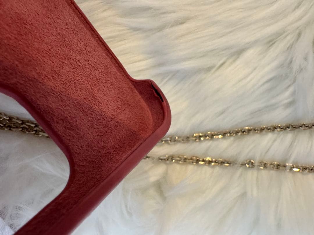 DIOR iPhone12pro 専用ケース