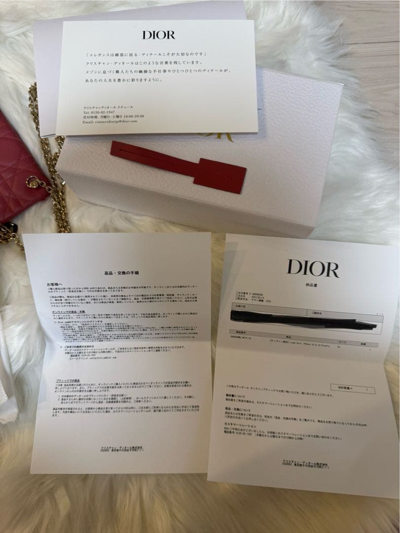 DIOR iPhone12pro 専用ケース