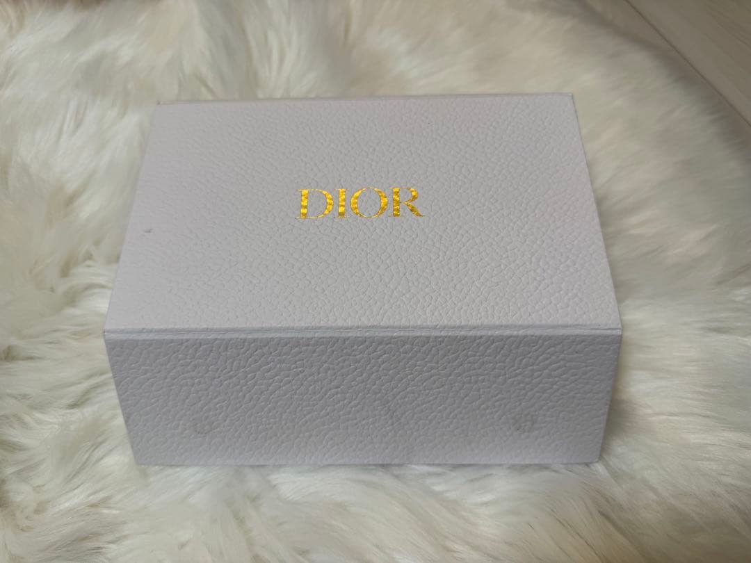 DIOR iPhone12pro 専用ケース