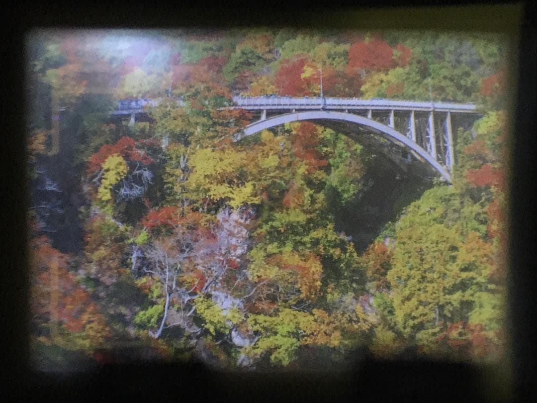 【整備済　美品】京セラ T スコープ　ポイント ＆シュート フィルム カメラ