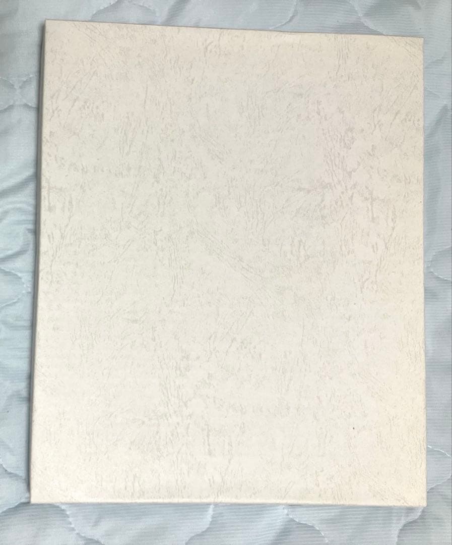 ホロライブ ときのそら おるだん先生描き下ろし Dream! 複製原画