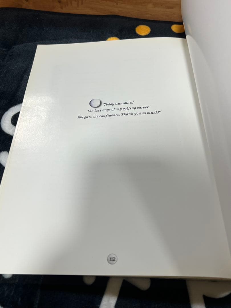 THE ART OF PUTTERS 和訳小冊子付き　希少