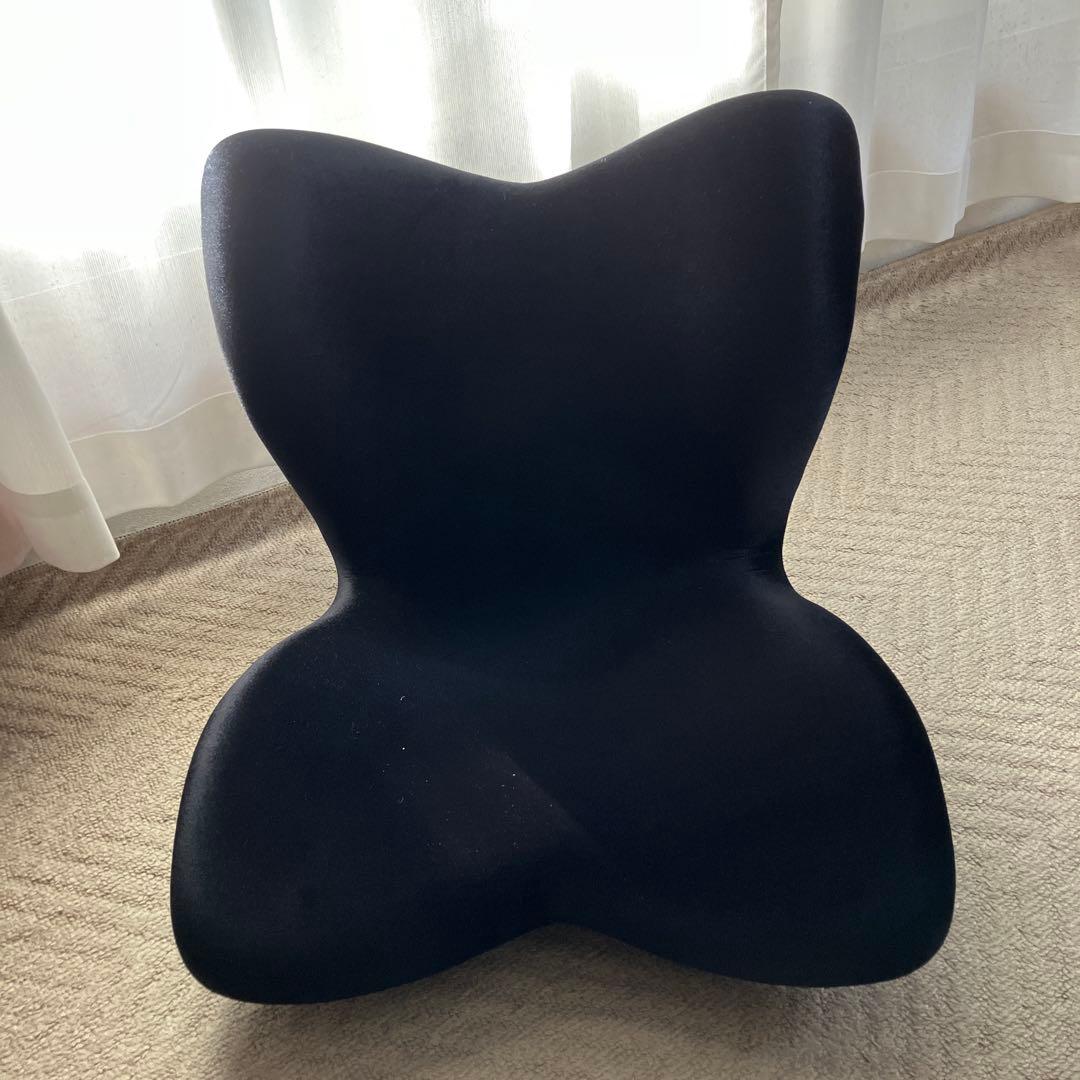 矯正用品・補助ベルト Style premium dx