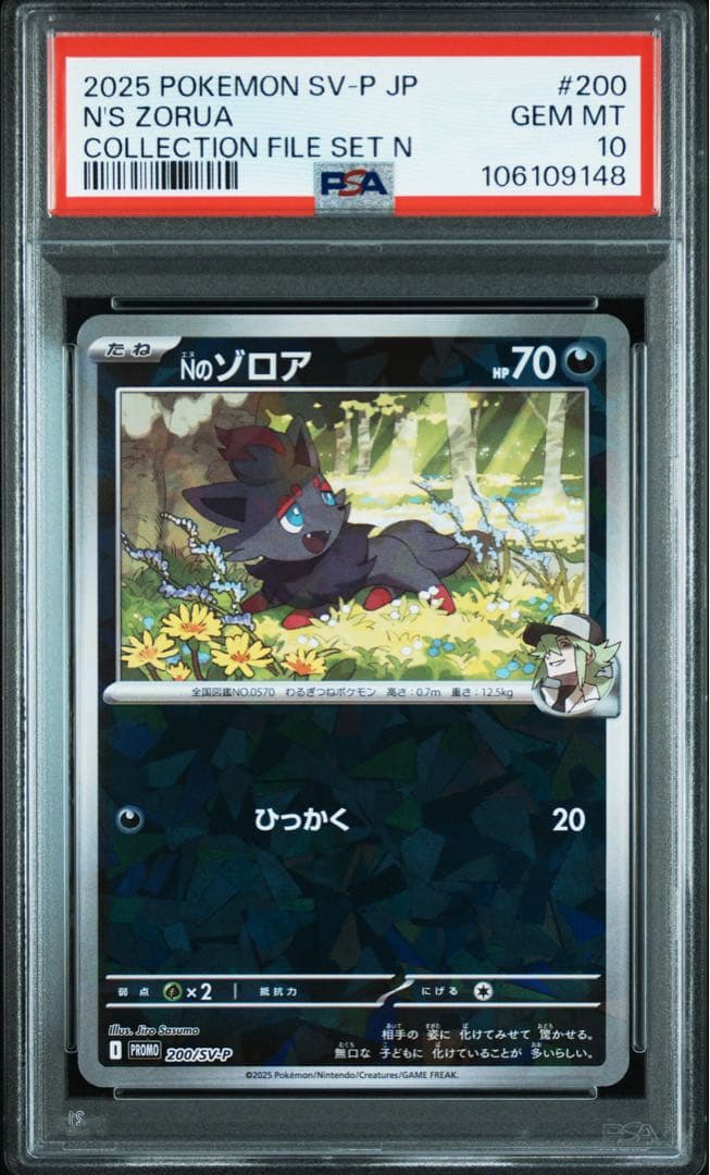 希少　プロモ　PSA10 ポケモンカード リーリエのキュワワー　Nのゾルア