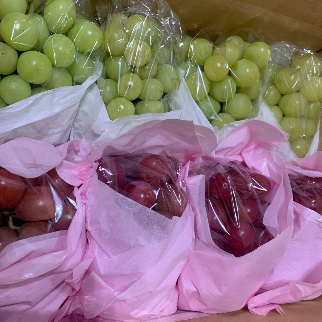 シャインマスカット＆クイーンルージュ®︎（4キロ）