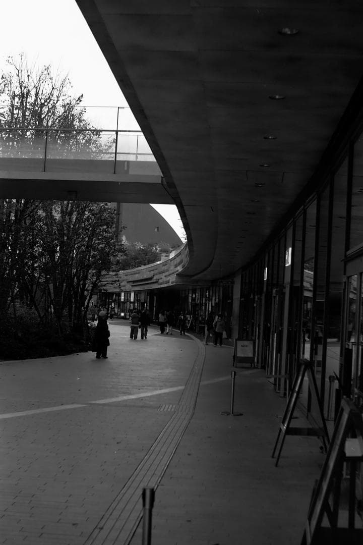 最後のバルナックライカ！Leica Ⅲg オールドカメラ