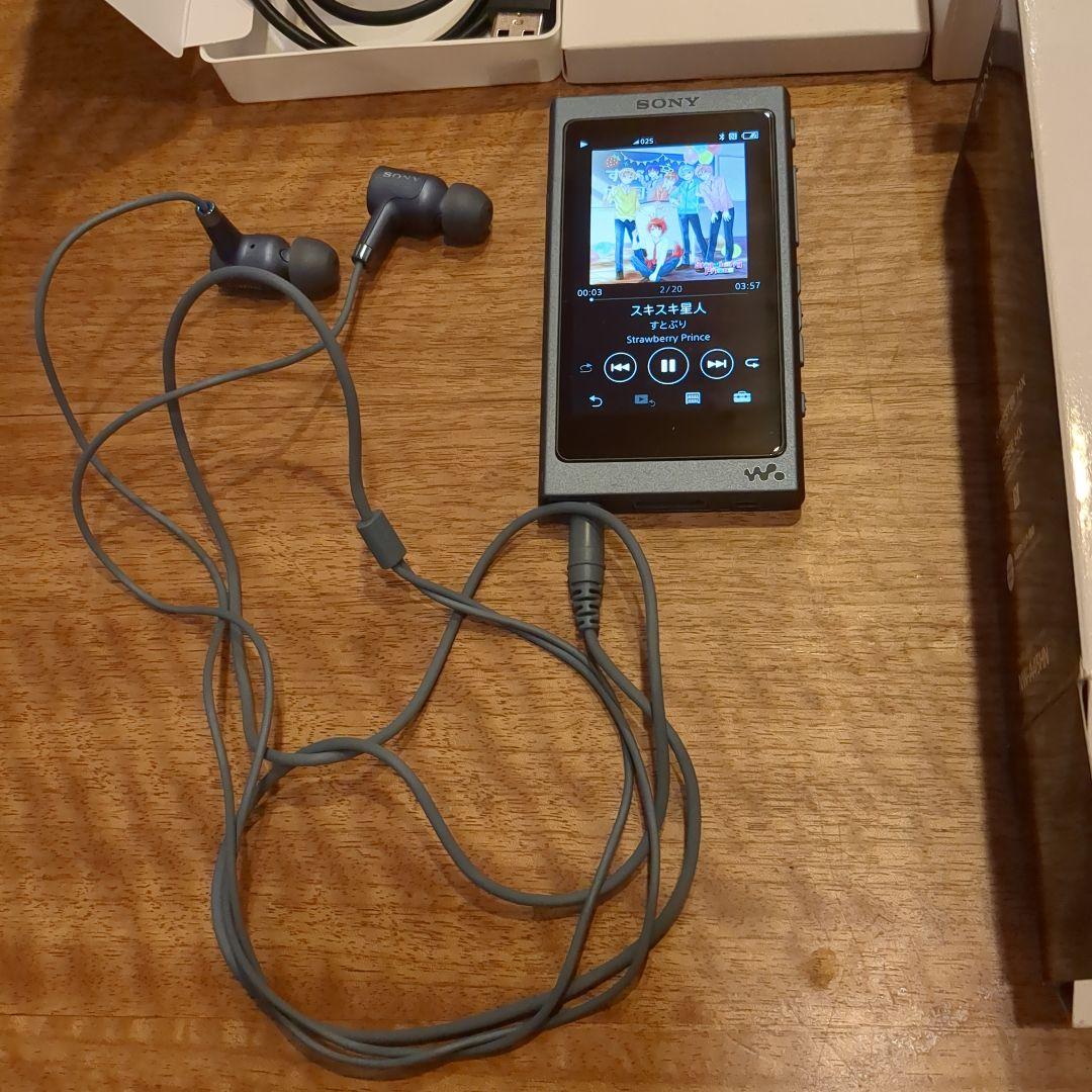 SONY NW-A45HN 16GB デジタルオーディオプレーヤー