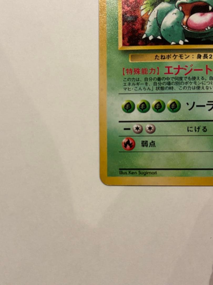 【旧裏】フシギバナ_「とりかえっこプリーズ」 キャンペーンカード PROMO