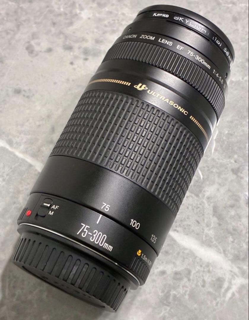 レンズ(ズーム) Canon EF 75-300mm F/4-5.6 II USM