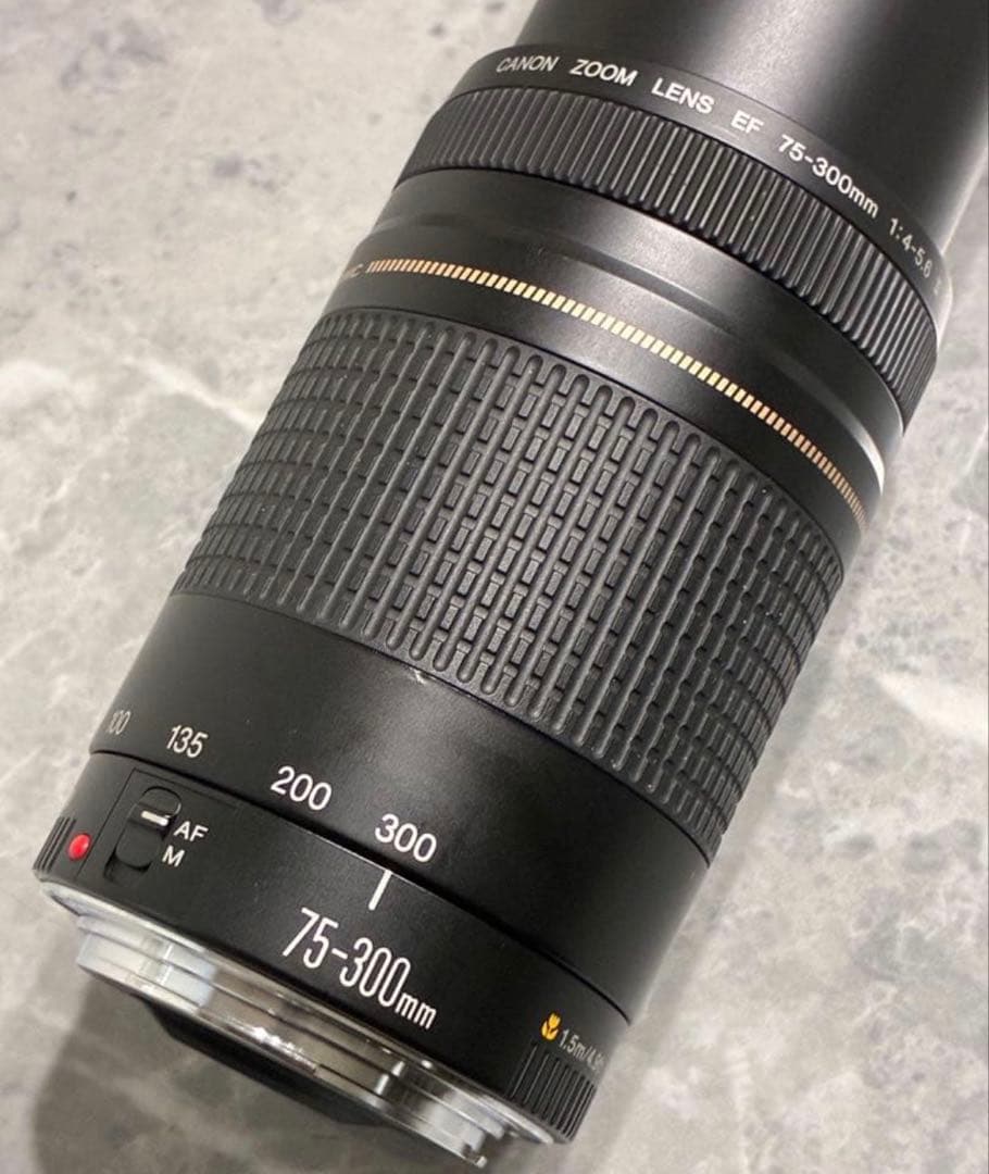レンズ(ズーム) Canon EF 75-300mm F/4-5.6 II USM
