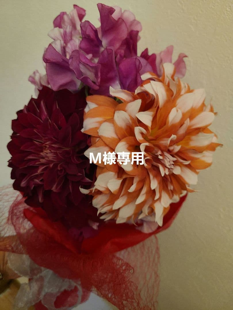 名古屋帯　白色