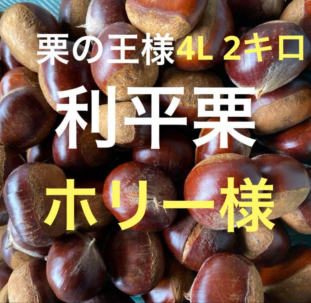 ホリー様　4L 2キロ　利平栗　茨城県産