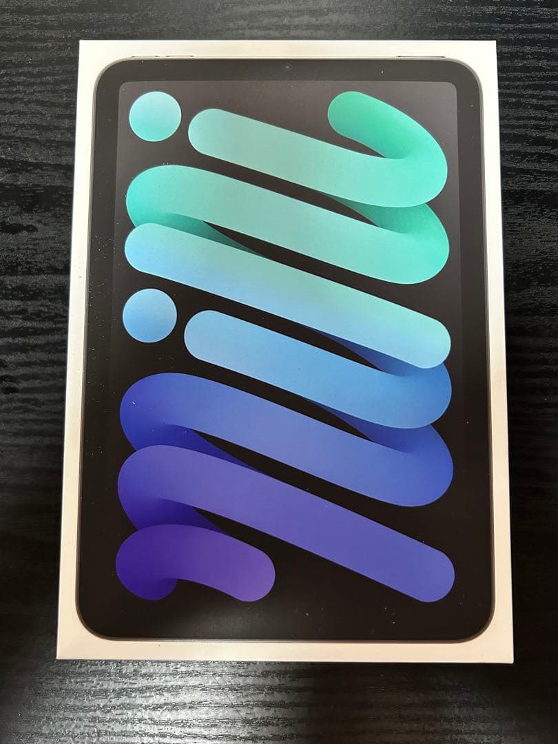 Apple iPad mini /第7世代/Wi‑Fi/128GB/グレイ