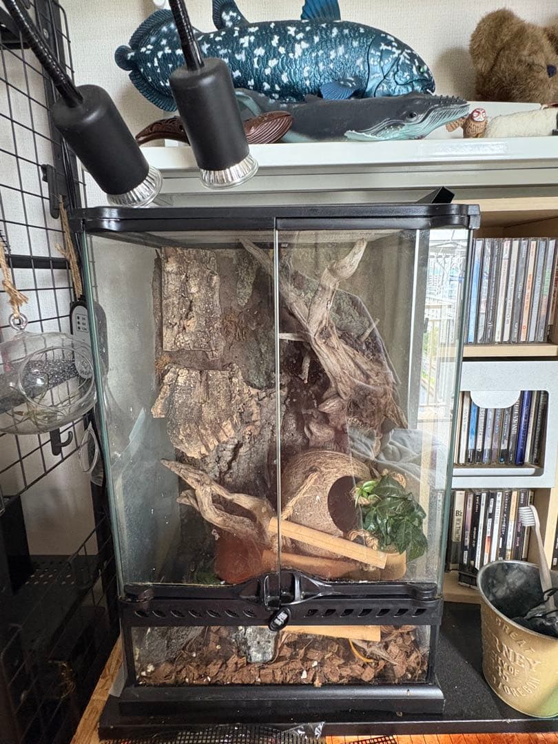 中型ガラスケージ 爬虫類用 自然レイアウト