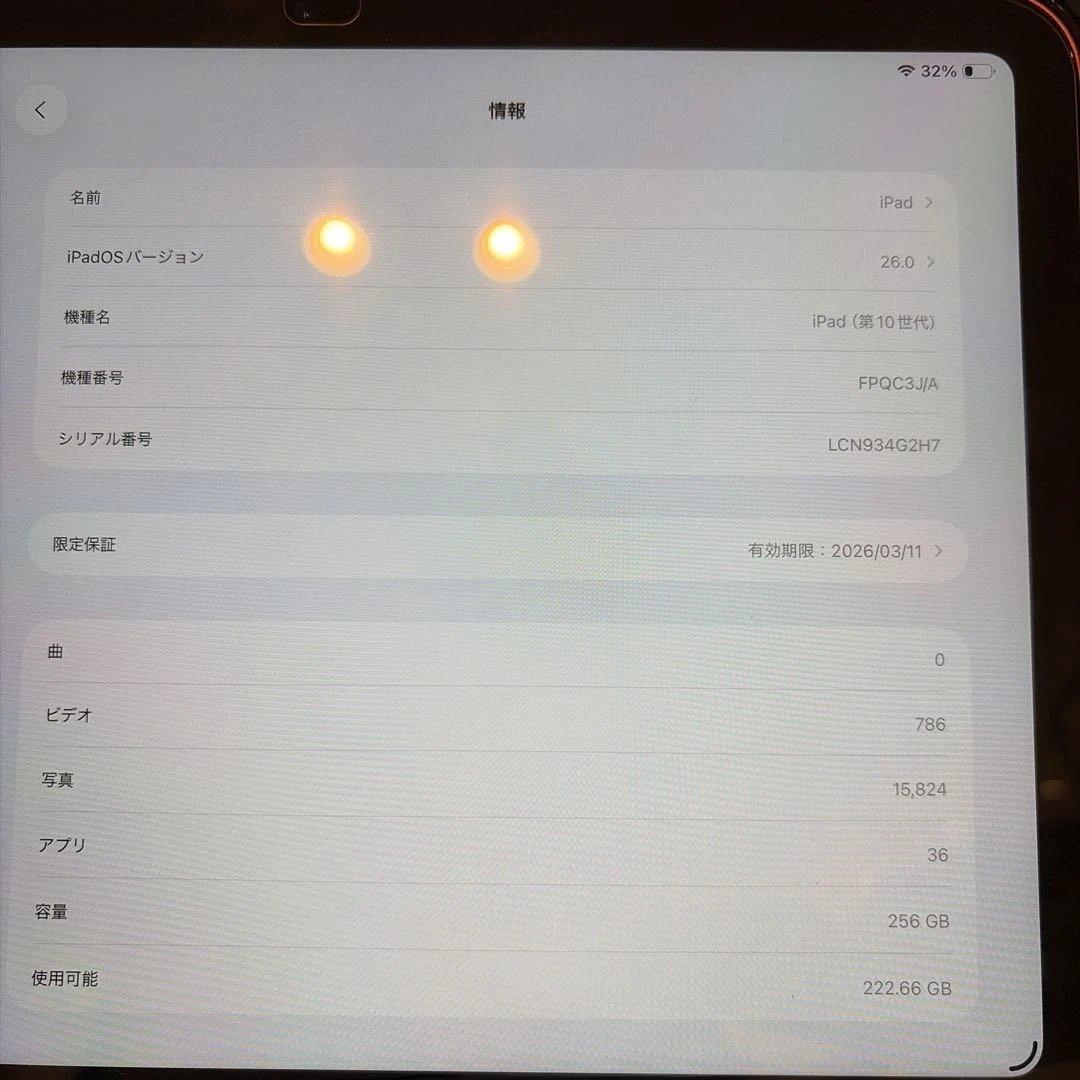 Apple iPad (第10世代) 256GB ピンク (今日まで)