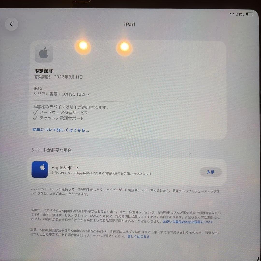 Apple iPad (第10世代) 256GB ピンク (今日まで)