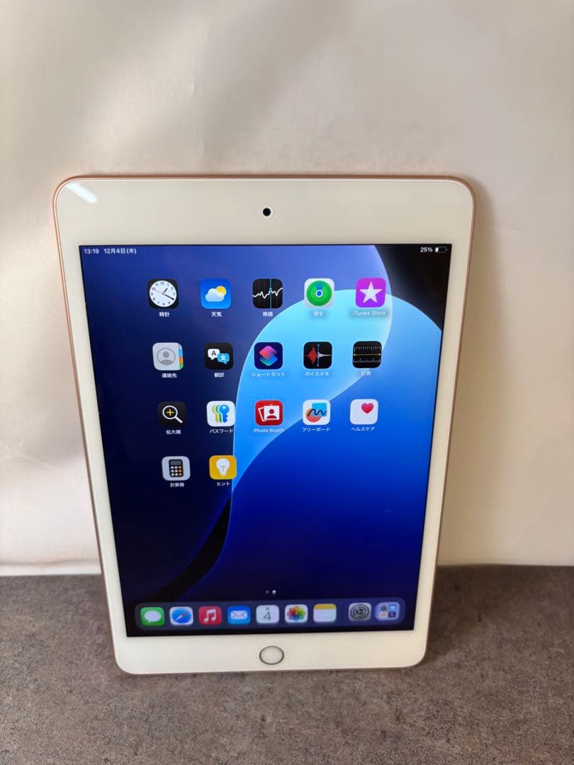 さいり　iPad mini (第5世代) 64GB