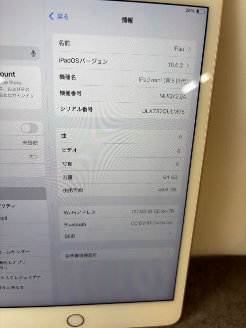 さいり　iPad mini (第5世代) 64GB