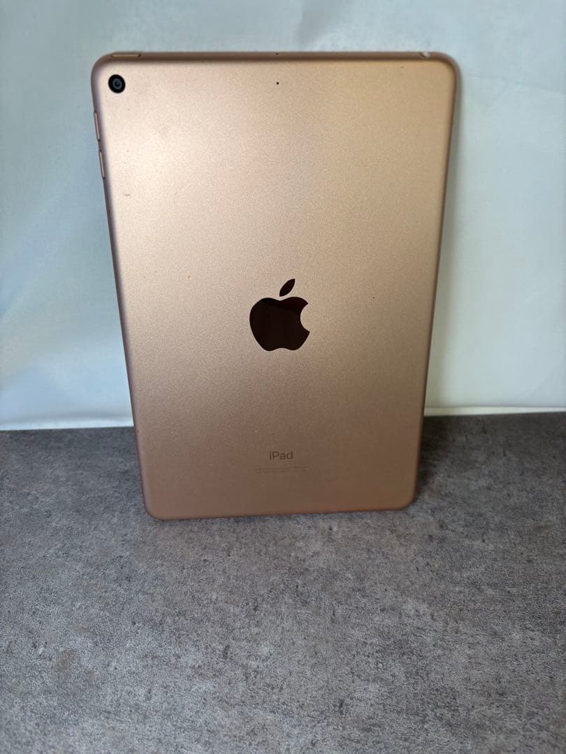 さいり　iPad mini (第5世代) 64GB