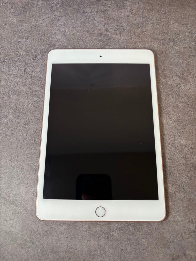 さいり　iPad mini (第5世代) 64GB