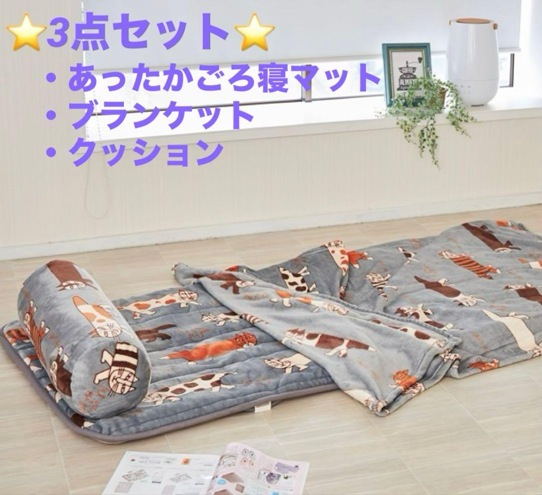 【新品未使用】KOIZUMI パーソナルマット　KDM-L117/H